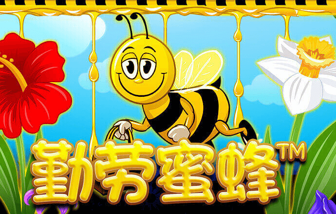 诺亚体育app官网入口